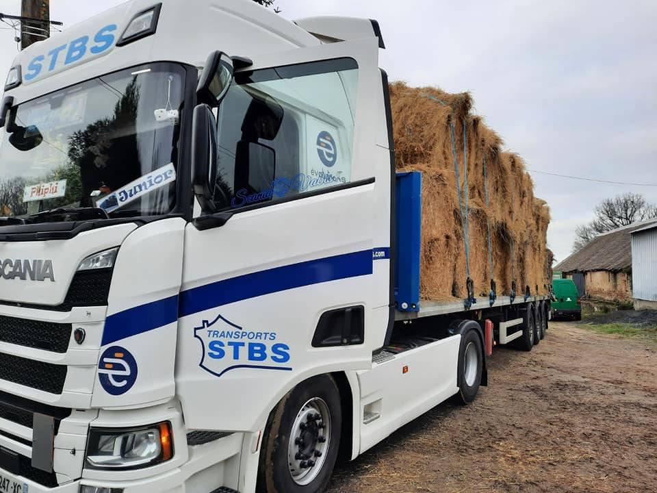 camion (4)